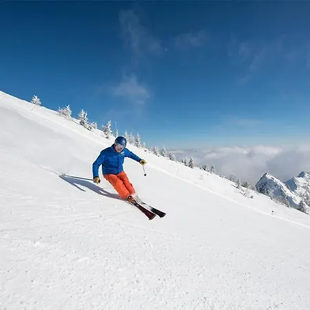 شقة Alpen Chiemgau شليكينغ